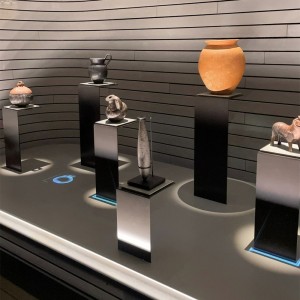 Durable Stainless Steel Museum Display Case