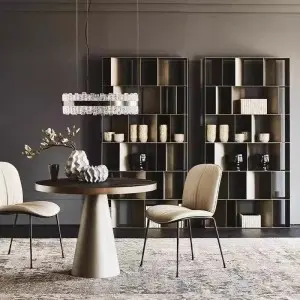 Modern home new favourite: stainless steel bookshelf