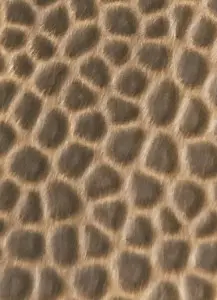 Custom Hammered Finish Stainless Steel Sheet for High-End Decoration