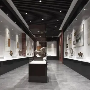 Stainless Steel Display Cabinet Supplier